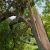 Mansfield Storm Damage Cleanup by Guaranteed Tree Service